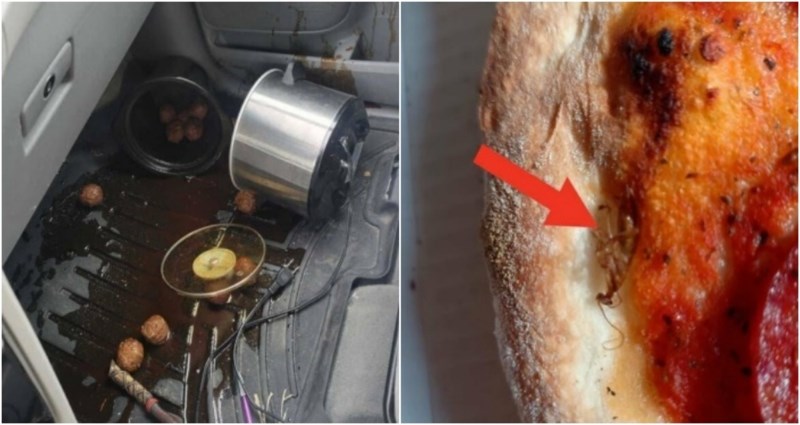 15 nesretnika čiji je dan bio puno gori od vašeg