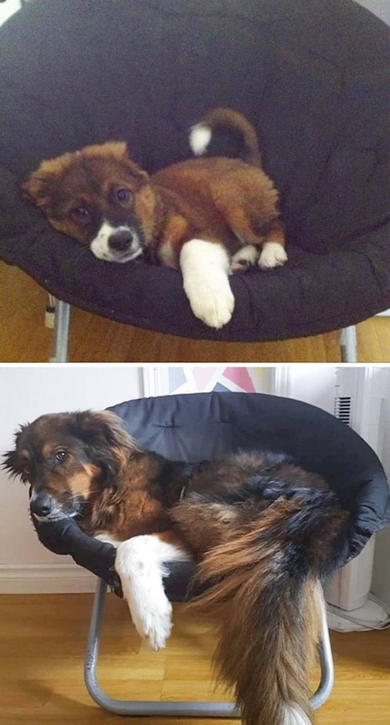 "Isto mjesto, ali nakon 5 godina."