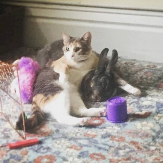 19.