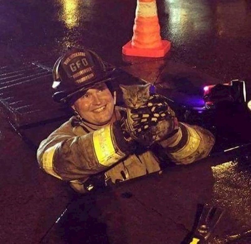 12. Svaki život je vrijedan spašavanja!