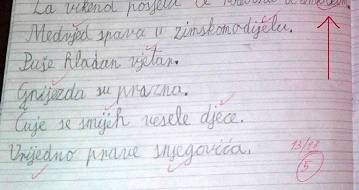 Dijete je napravilo grešku u diktatu, no učiteljica iz Imotskog nije imala srca prekrižiti ovu riječ