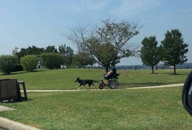 19.