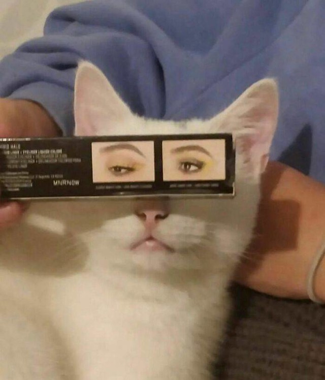 6.