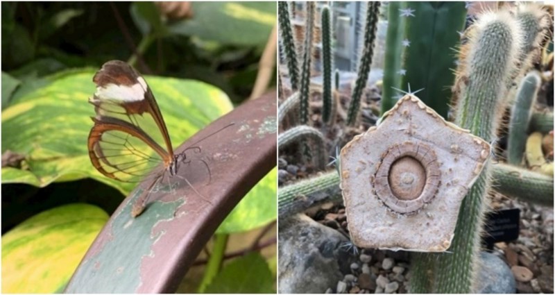 17 jako zanimljivih prizora na koje su ljudi slučajno naišli
