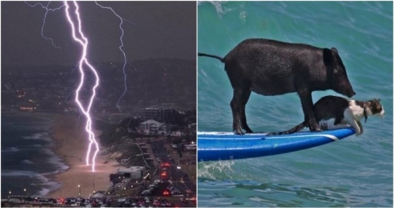 20+ viralnih fotografija koje ne trebaju nikakav opis da bi impresionirale