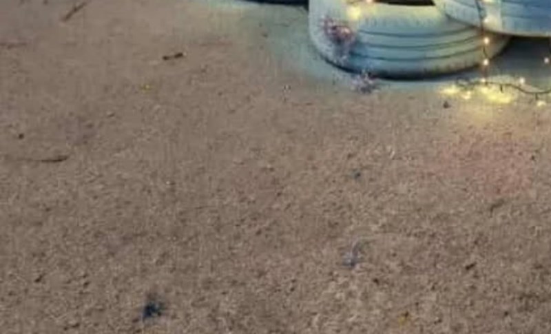 Vulkanizer iz okolice Imotskog oduševio je cijelu zemlju svojom božićnom jelkom, morate vidjeti