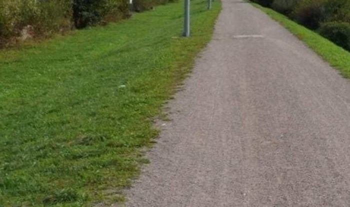 Fotka rasvjetnih stupova iz Srbije izazvala je salve smijeha na Fejsu, odmah će vam biti jasno zašto