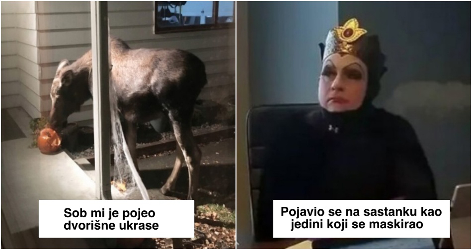 20+ ljudi koji su htjeli zasjeniti sve za Noć vještica, ali sudbina je imala druge planove