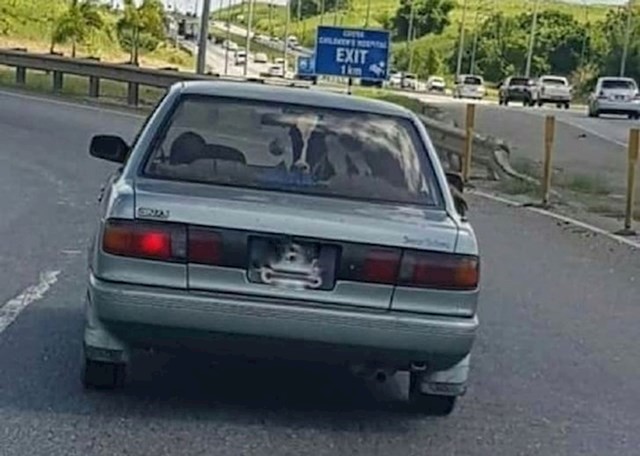Vidite li i vi što vozi u autu?