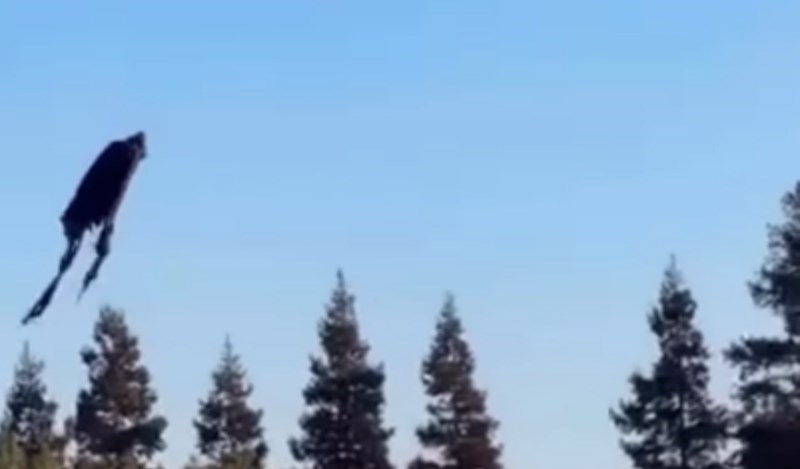 Tip je prebacio plahtu preko drona i utjerao strah u kosti cijelom susjedstvu, snimka je hit