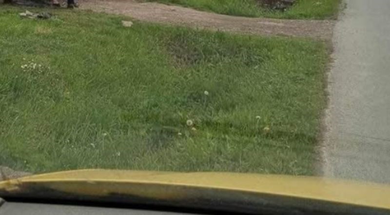 Prolaznik je u jednom našem selu snimio bizaran prizor, morate vidjeti kako tip popravlja auto