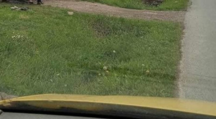 Prolaznik je u jednom našem selu snimio bizaran prizor, morate vidjeti kako tip popravlja auto