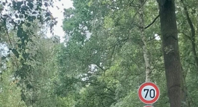 Začuđeni vozač morao je svima pokazati bizaran prometni znak koji je ugledao, fotka je hit