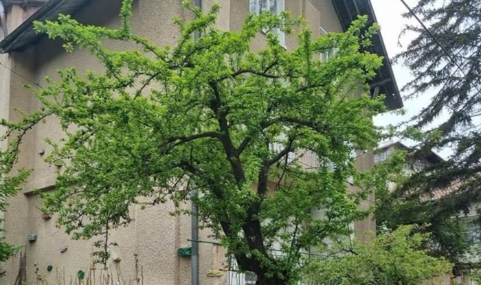 Detalji na nečijoj ogradi izazvali su salve smijeha na Fejsu, fotka je odmah postala hit u regiji