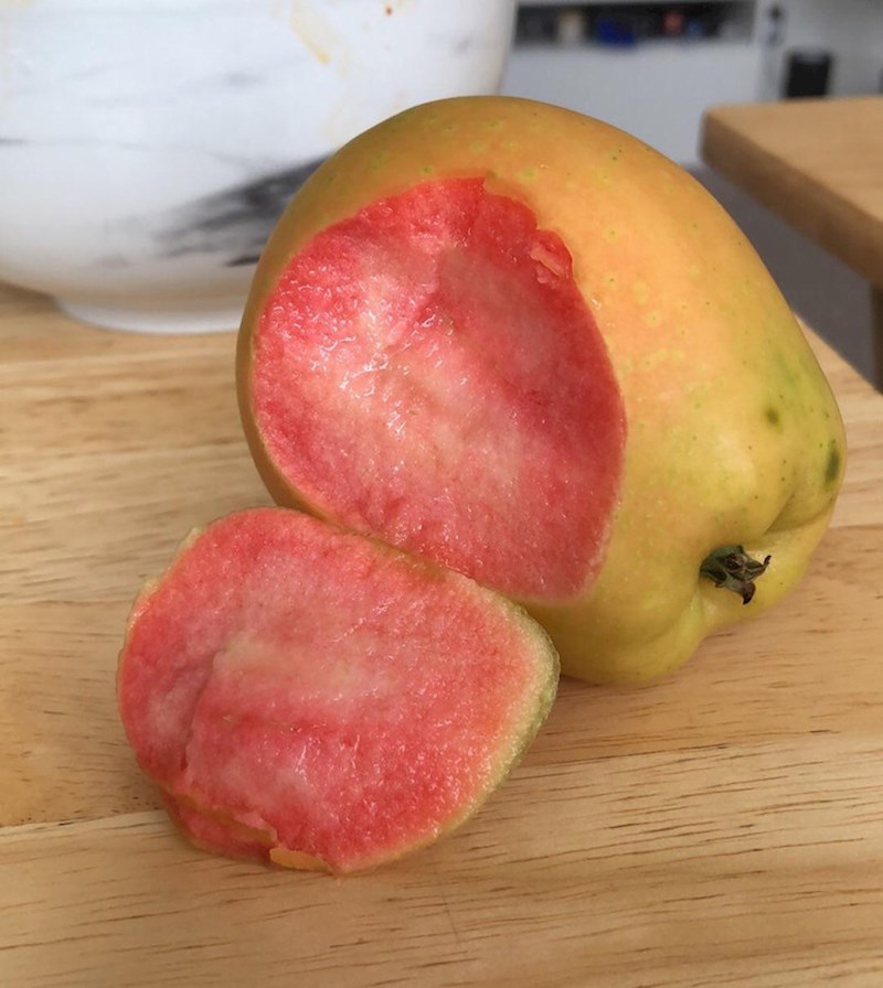 15. Netko je zagrizao jabuku i iznenadio se kad je shvatio da je iznutra skroz crvena