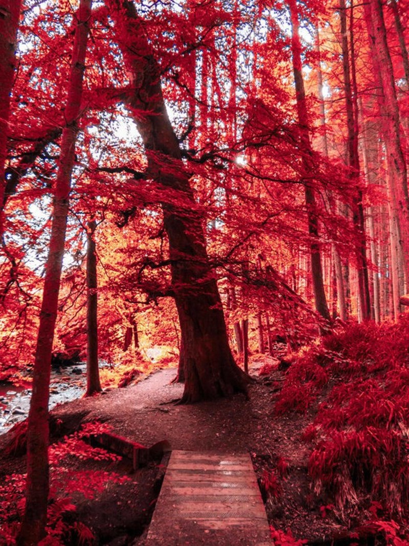 12. Lijepa strana jeseni