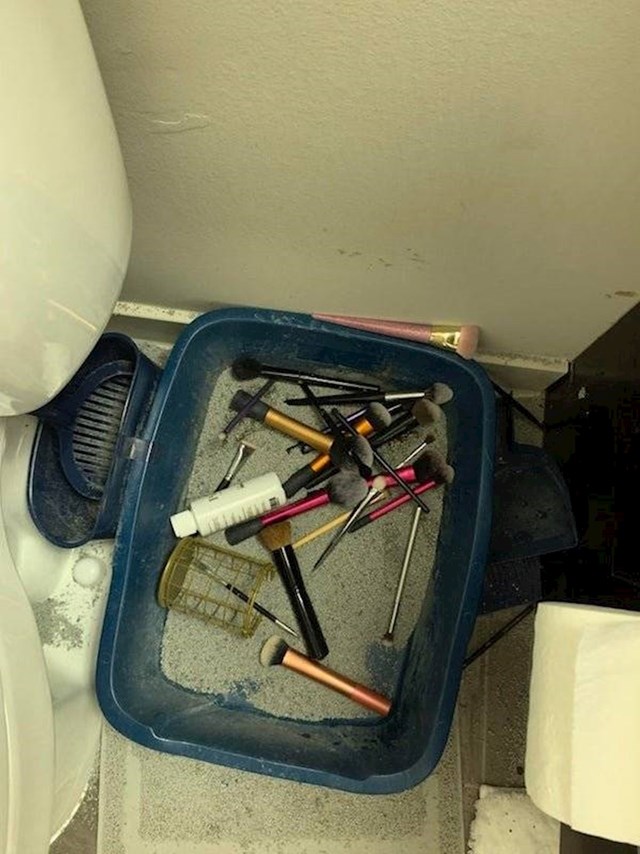 15. Mačka je odnijela sve moje kistove za šminku u svoj wc