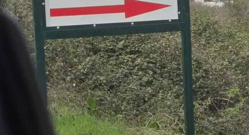 Urnebesno ime jedne farme koza i ovaca nasmijalo je cijelu zemlju, fotka je teški hit