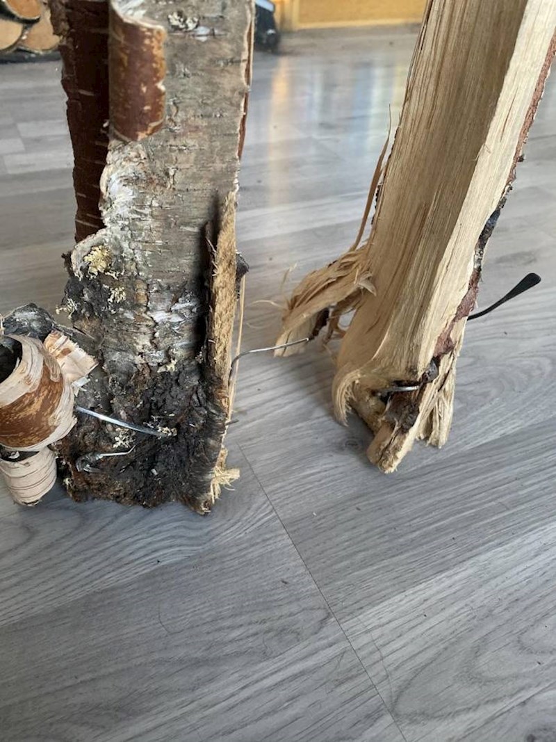 6. "Pronašao sam naočale unutar debla."