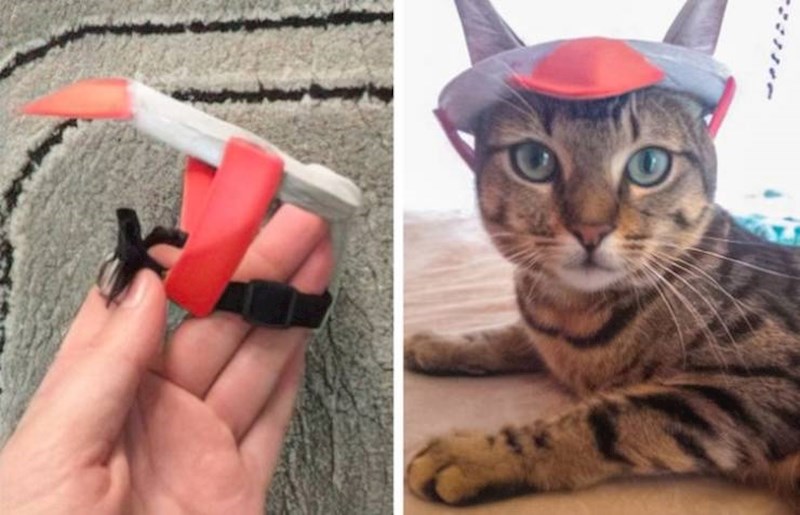 8. Moja mačka ima oštećenje na mozgu i stalno se zabija u stvari po kući pa sam joj napravila ovu kacigu