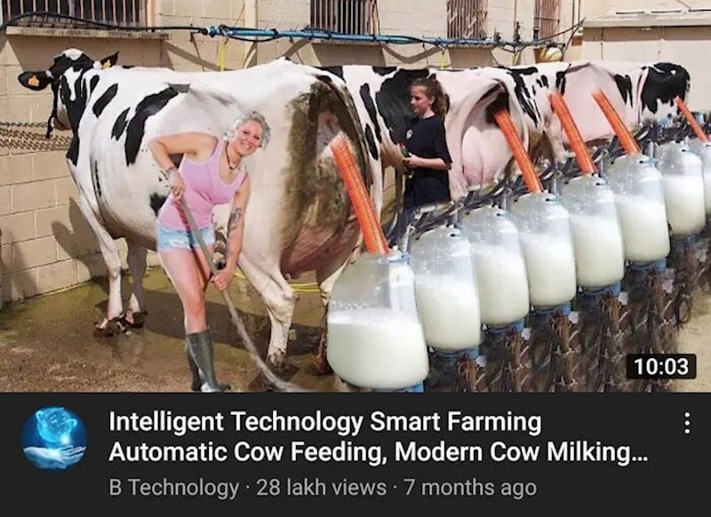 8. Mlijeko stiže iz kravine guze?😅