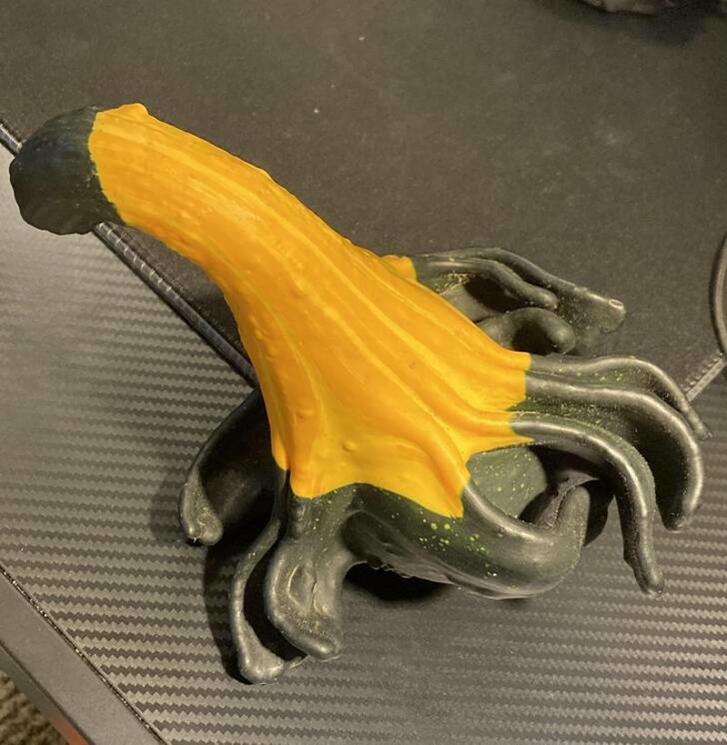 8. Bundeva koja izgleda kao izvanzemaljac