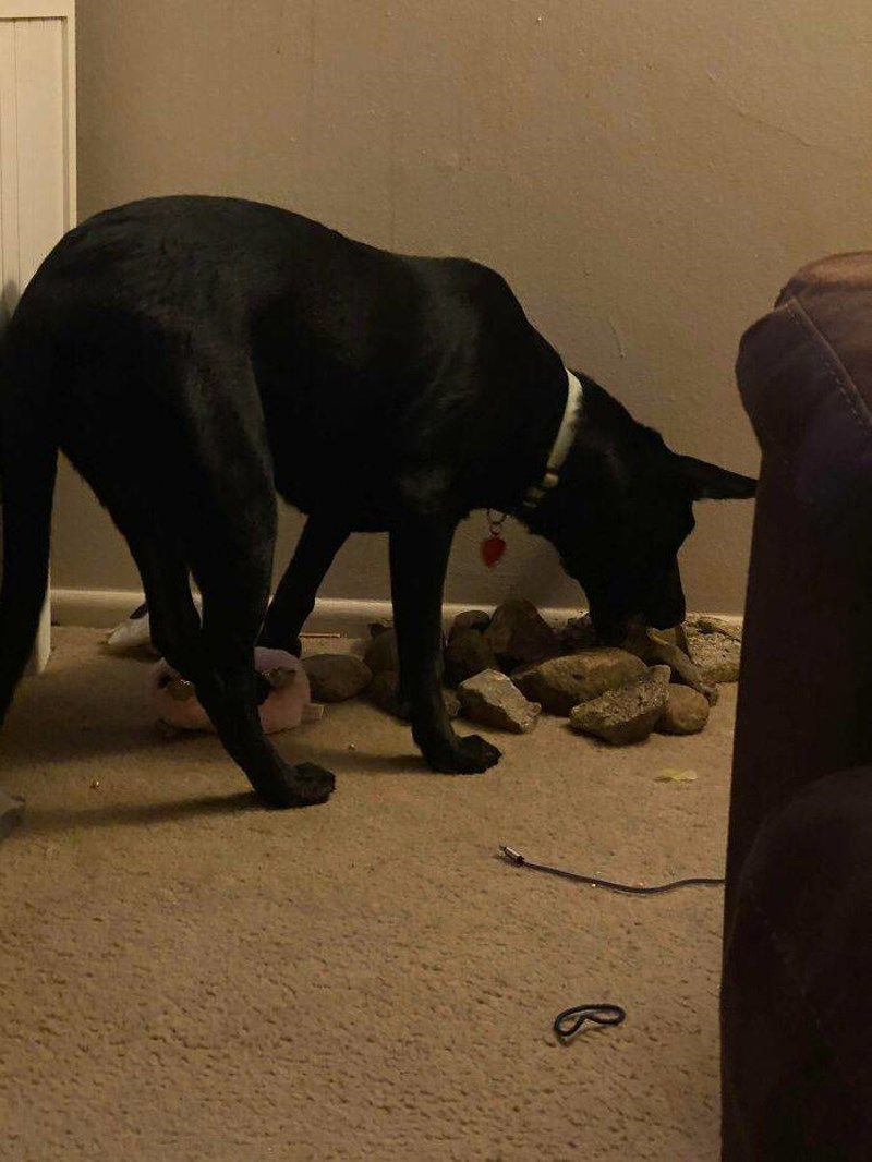 14. Ona iz nekog razloga obožava kamenje i ima svoju kolekciju