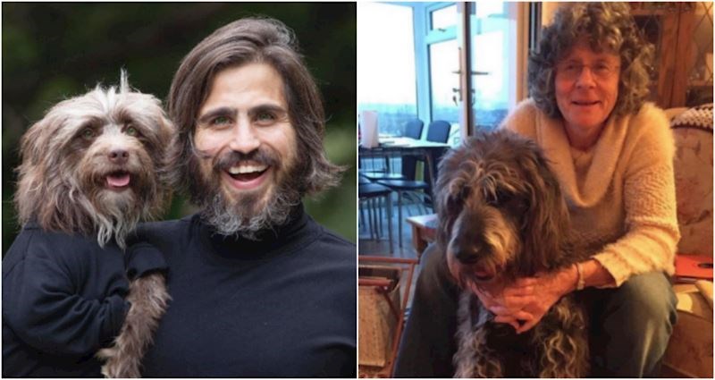 Na Fejsu postoji grupa posvećena psima koji izgledaju kao svoji vlasnici, fotke su genijalne