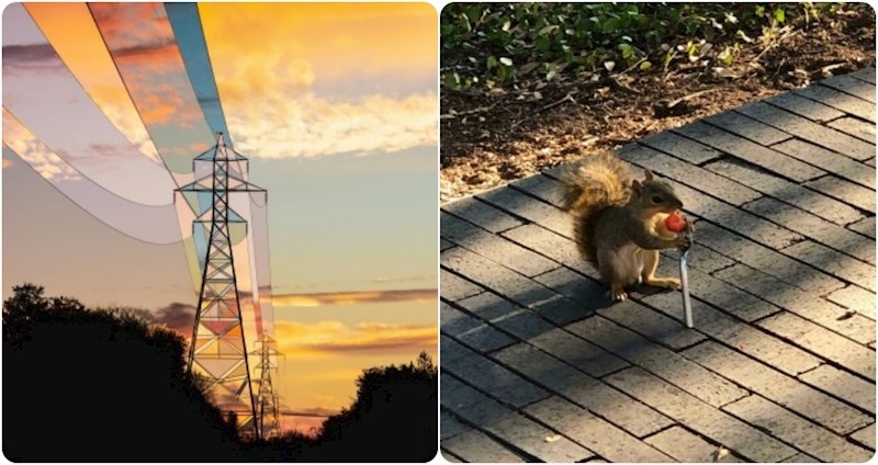 Ljudi na Redditu dijele najzanimljivije prizore koje su ikad snimili, izdvojili smo ih 19