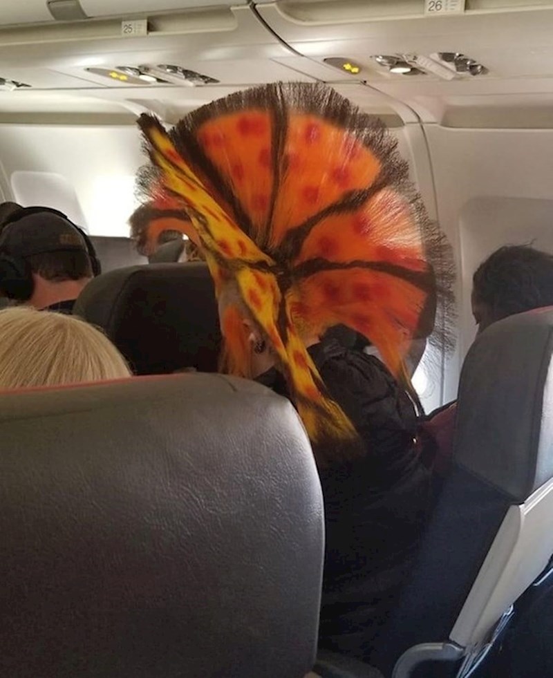 12. To isto vrijedi i za ovog tipa i njegovu unikatnu frizuru