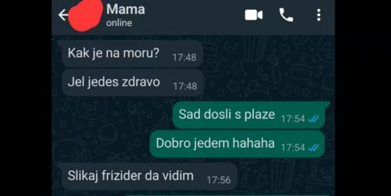 Mama ga je pitala jede li zdravo na moru, kad joj je poslao fotku frižidera skoro se onesvijestila