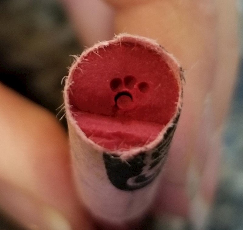 12. Netko je prepolovio pastelu i u njoj pronašao šapicu