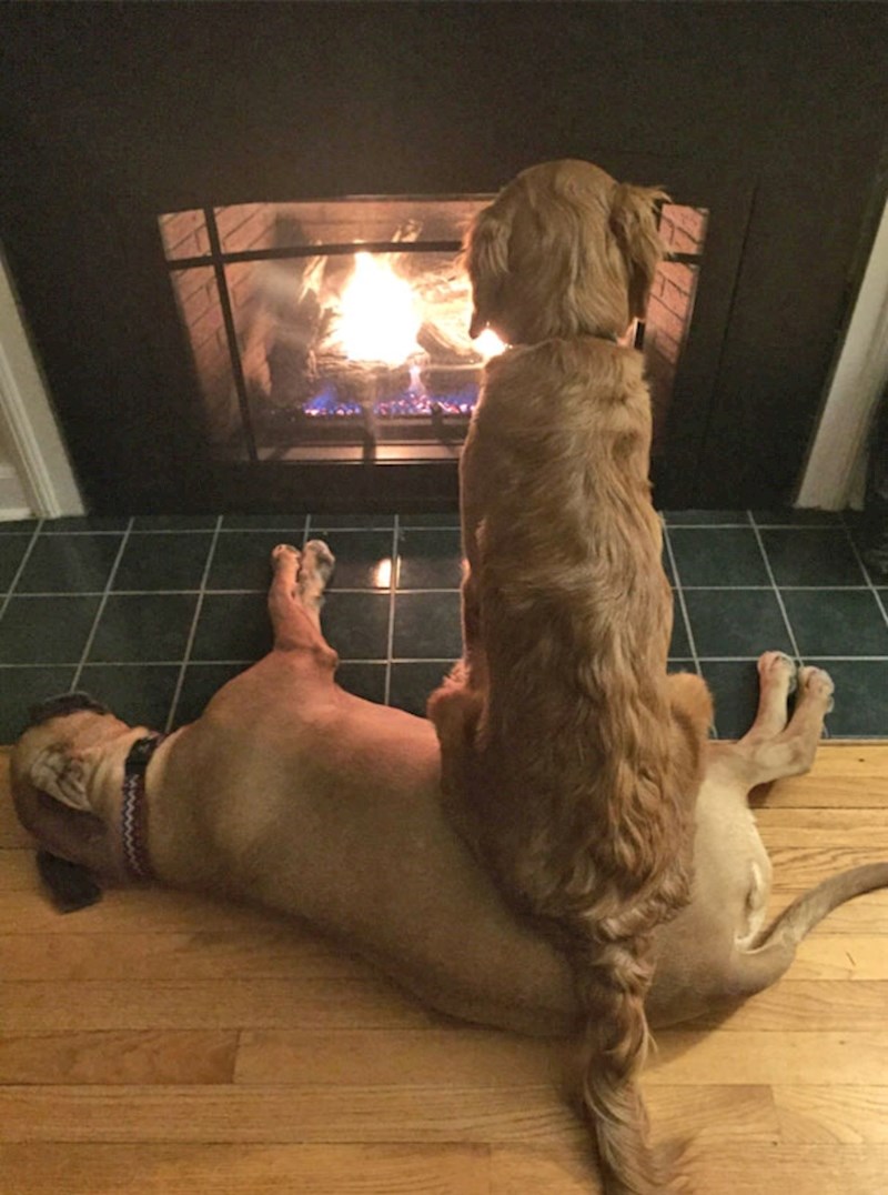 6. Sjedi na bilo čemu i bilo komu