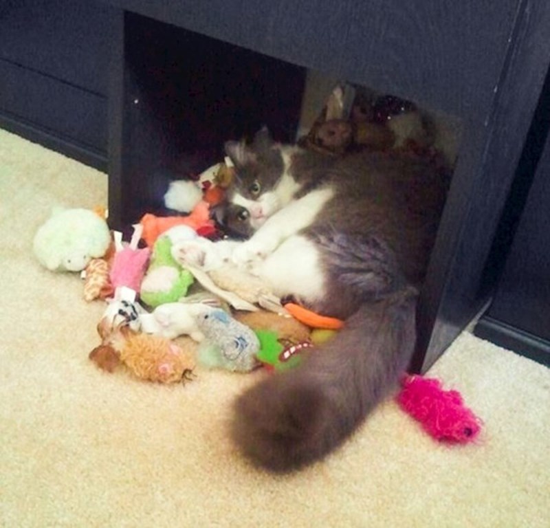 9. Pronašli smo njezinu tajnu zalihu igračaka