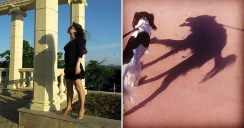 19 fotki na kojima se vidi koliko sjene mogu biti čudne