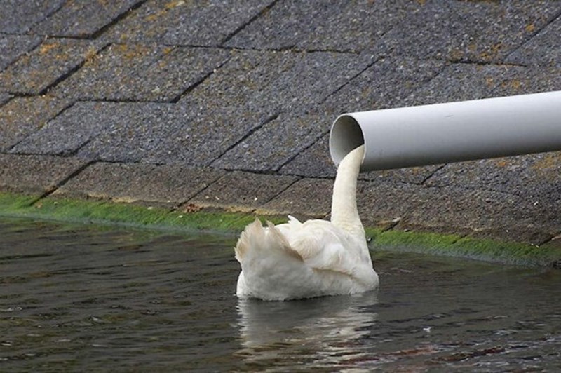 3. Pjena koja istječe kroz cijev