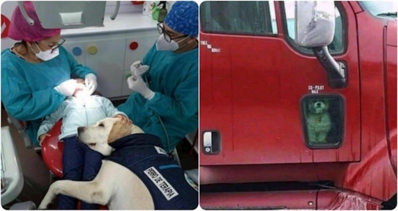 17 toplih fotki koje će vas podsjetiti na to da je dobrota svuda oko nas