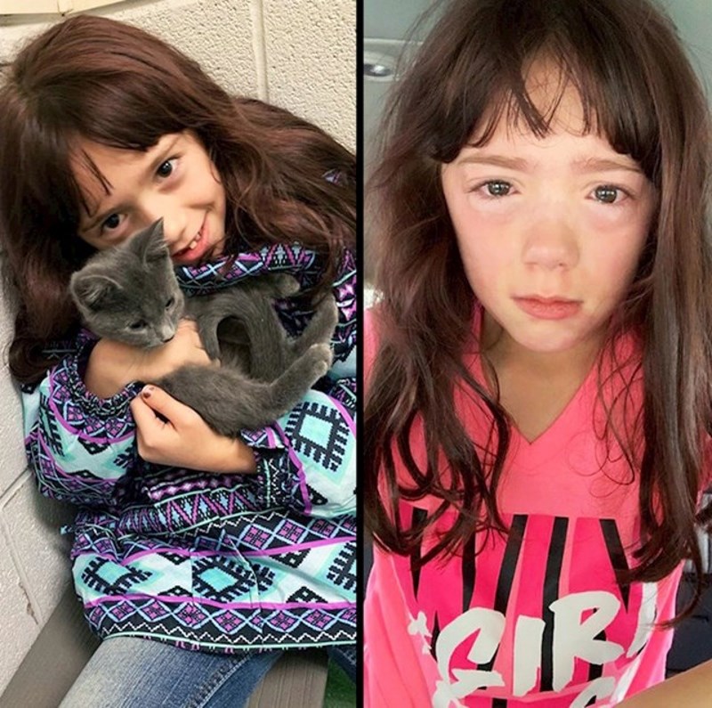 Ispunila sam kćeri san i nabavila joj mačku. Sljedeći dan saznali smo da je alergična na njih.