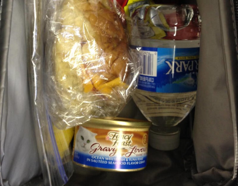 7. Tata mi je spakirao hranu za mačke za užinu