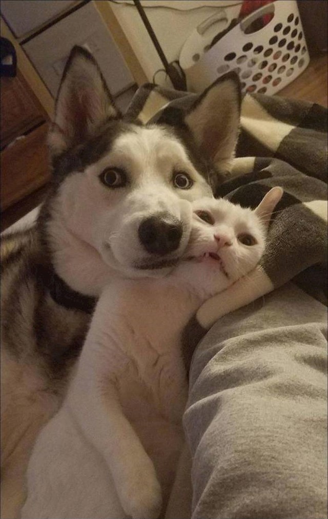 3.