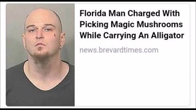 9. Tip s Floride optužen je zbog branja "magičnih gljiva" dok je nosio aligatora