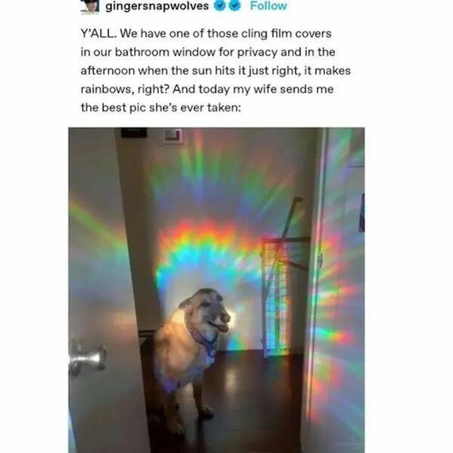 4.