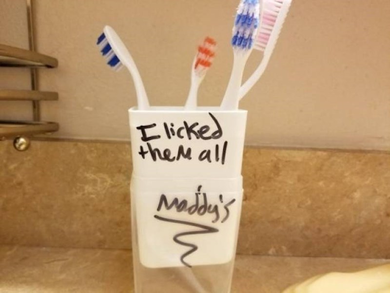 3. Sestra se osvetila tako da je polizala svačiju četkicu