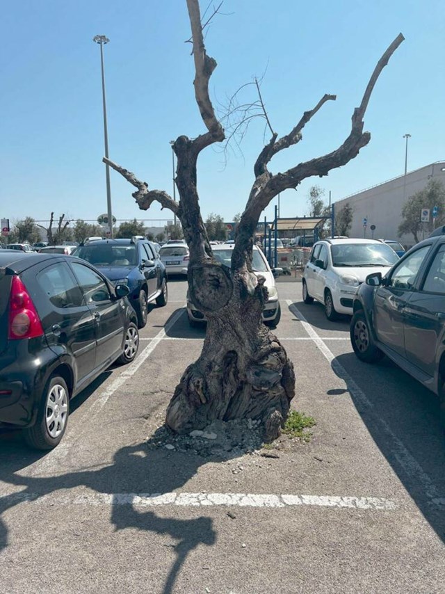 6. A ovo nesreća...tražiš parking, a ovo je jedino slobodno mjesto. 😅
