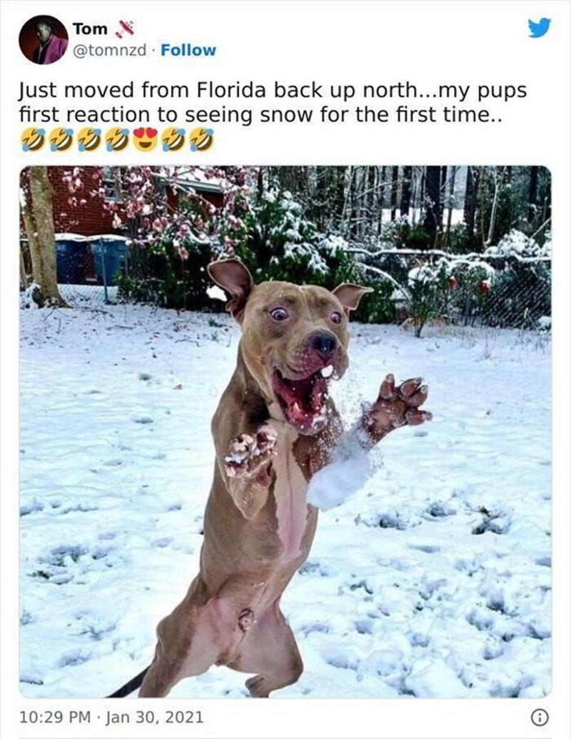 3. Prvi put je vidio snijeg 😝