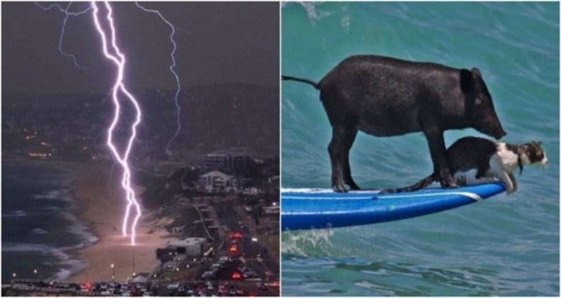 20+ moćnih viralnih fotografija kojima nije potreban nikakav dodatan opis