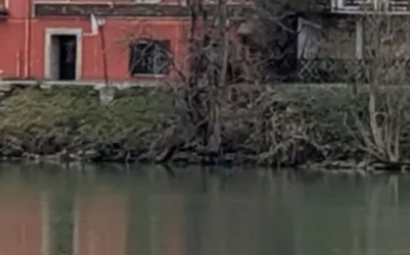 Kuća u Mariboru oduševila je cijeli Balkan zbog nesvakidašnjeg detalja, morate vidjeti ovaj hit