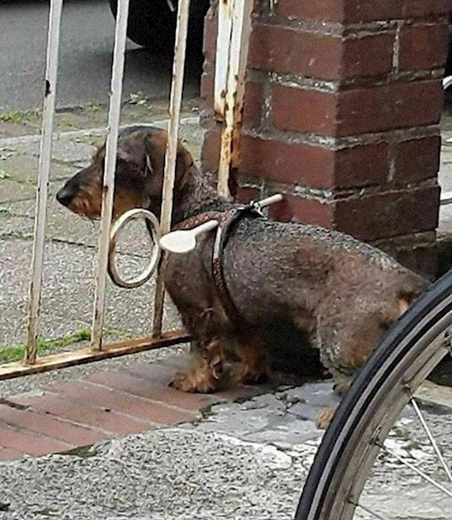 11.