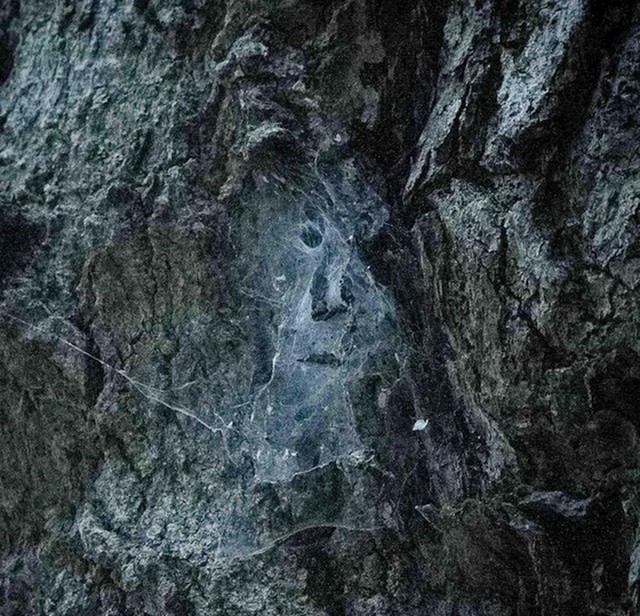5. Lice starca u paučini