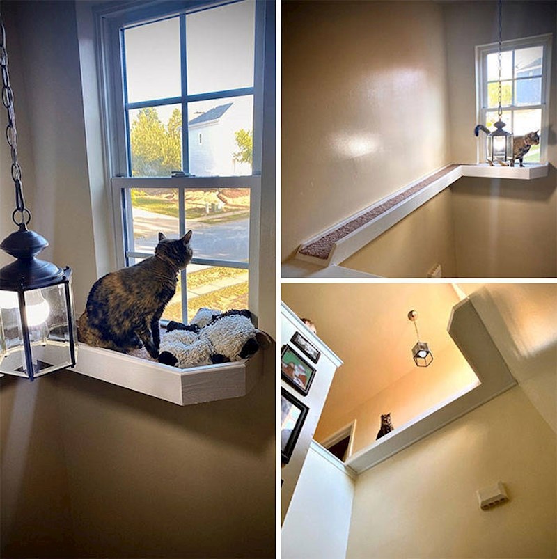 Morali su joj izgraditi prolaz do prozora do kojeg je svim silama pokušavala doći